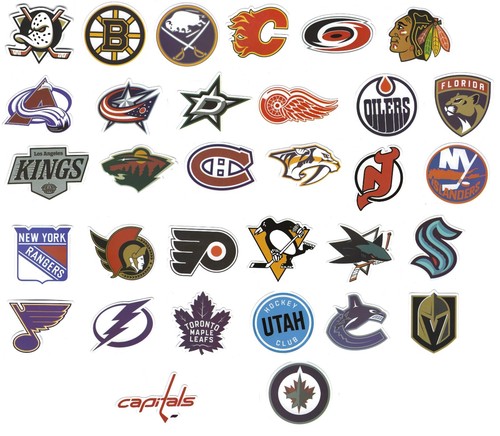 Nhl hockey vinyl decal - vinyl,